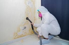 Best Water Damage & Mold Remediation  in Lakeside, MT